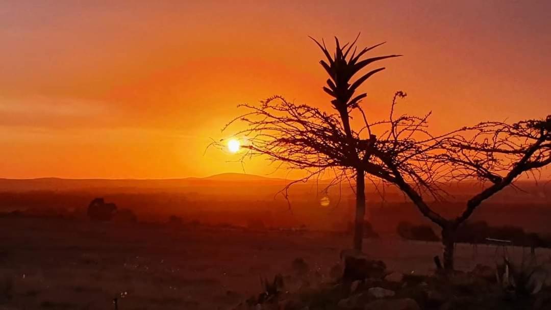 Kwetu Guest Farm Villa Swellendam Bagian luar foto